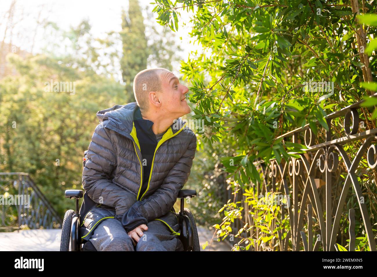 Happy disabled man in wheelchair enjoying while smelling a plant in an urban park during a sunny day of winter Stock Photo