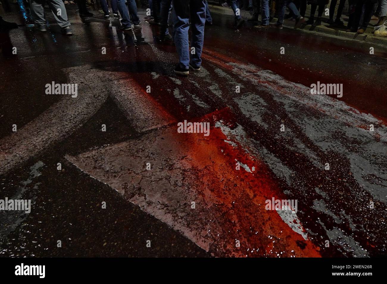 Anti-government protestors walk over red-dyed water that they poured onto the street as family and supporters of Israeli hostages held in Gaza since the October 7 attacks by Hamas demonstrate near PM Benjamin Netanyahu's private home vow to remain there until he agrees to a deal to free Israeli hostages held in the Gaza Strip on January 22, 2024 in Jerusalem, Israel Stock Photo