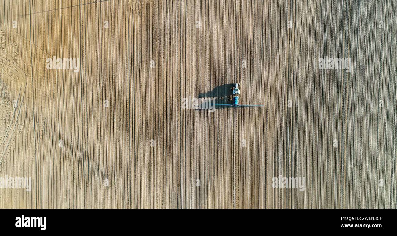 Corn field aerial weed hi-res stock photography and images - Alamy