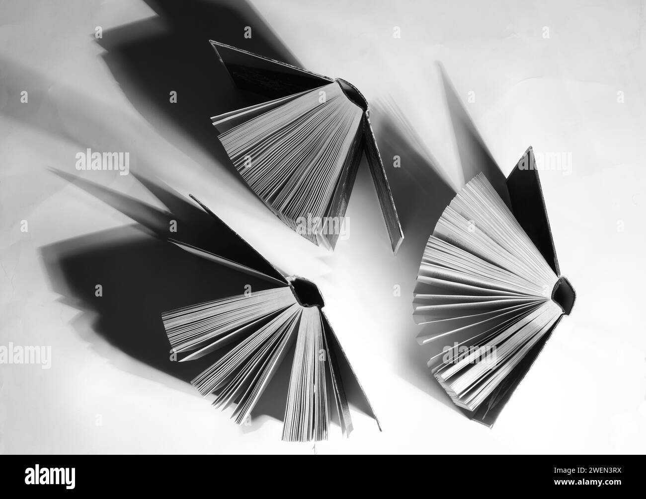 Vintage Books arrangement, flat lay,black and white.Back to school