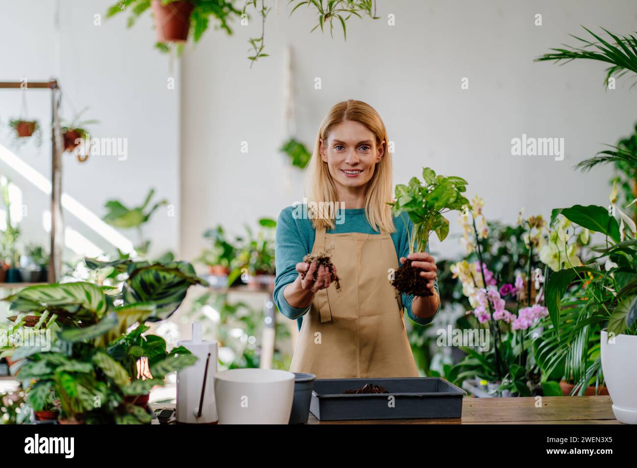 Photo portrait blonde female owner in apron showing how to transplant a