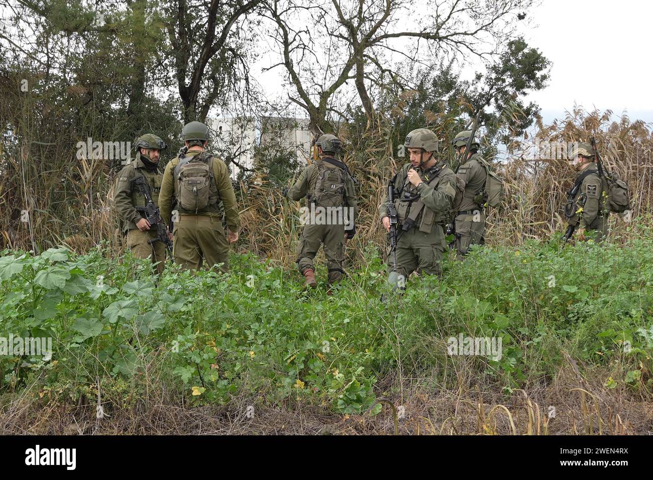 Israeli soldiers search a field after two explosive-laden drones were reportedly used by Hezbollah militants to launch an aerial assault against an Israeli air defense system site near Kibbutz Blum close to the border with Lebanon on January 25, 2024 in Kfar Blum, Israel. Stock Photo