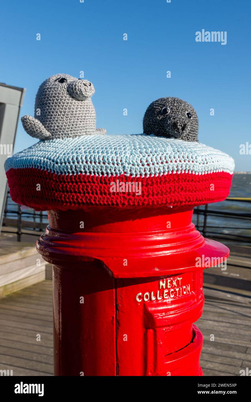 Southend Pier, Southend on Sea, Essex, UK. 26th Jan, 2024. Grey seals can often be seen swimming around Southend Pier, which has been marked by a 'yarn-bombed' letter box on the pier. The day has been bright but with a cool wind Stock Photo