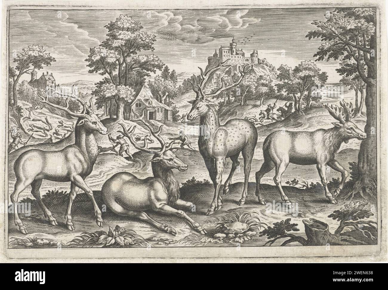 Herten, Anonymous, After Adriaen Collaert, 1595 - 1652 print Two deer, a Damhert and a moose in the foreground. A deer show in the background. The print is part of a series with animals as the subject.  paper engraving stag-hunting. hoofed animals: deer. hoofed animals: moose Stock Photo