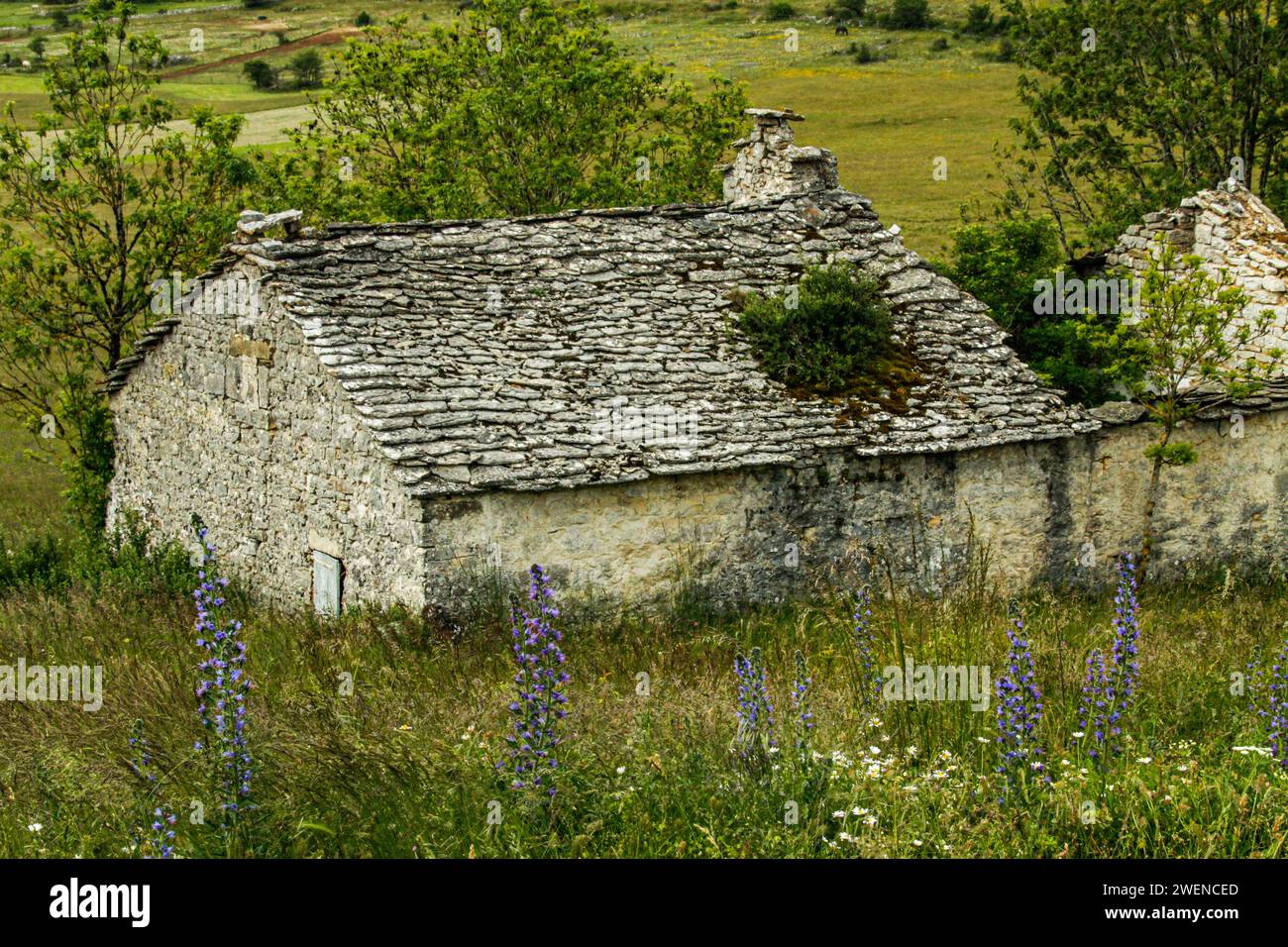 Old stone barn on Causse Méjean, Cévennes, Lozère department, Occitanie region, France Stock Photo
