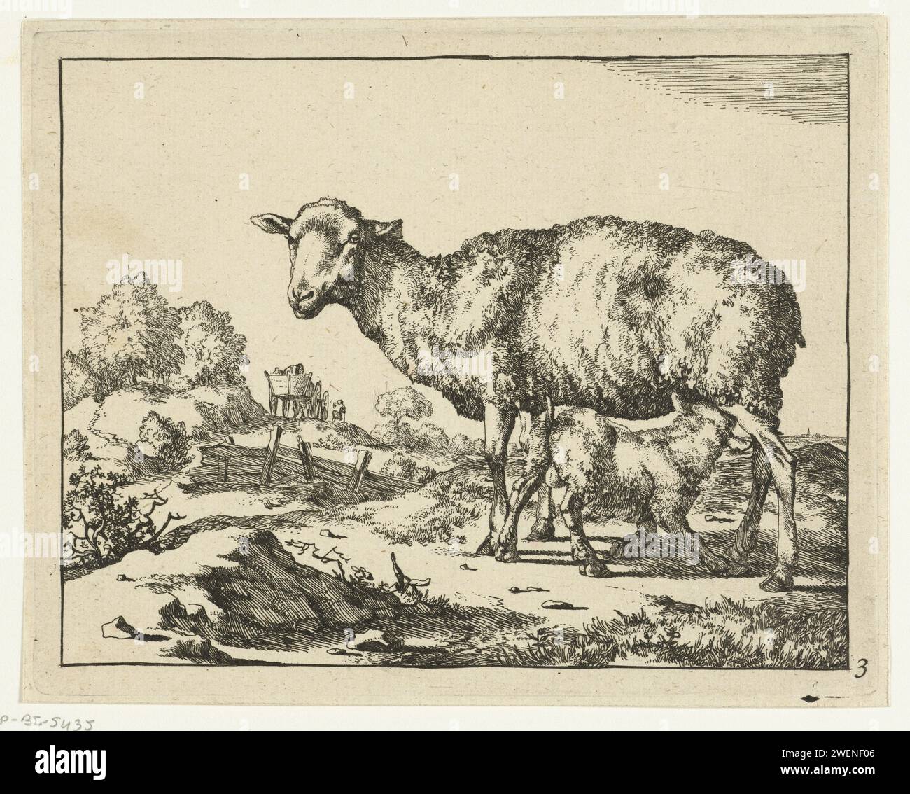 Sheep with drinking lamb, Marcus de Bye, 1664 print paper etching sheep