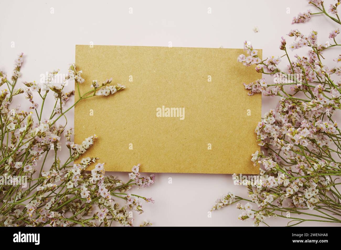 Empty card for text message and flower decoration on pink background ...
