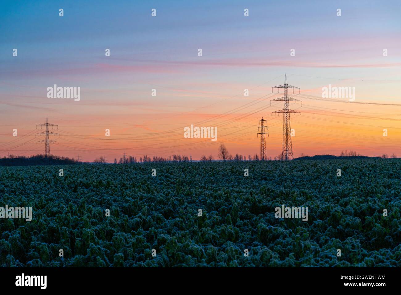 Strommasten bei Sonnenaufgang Stock Photo