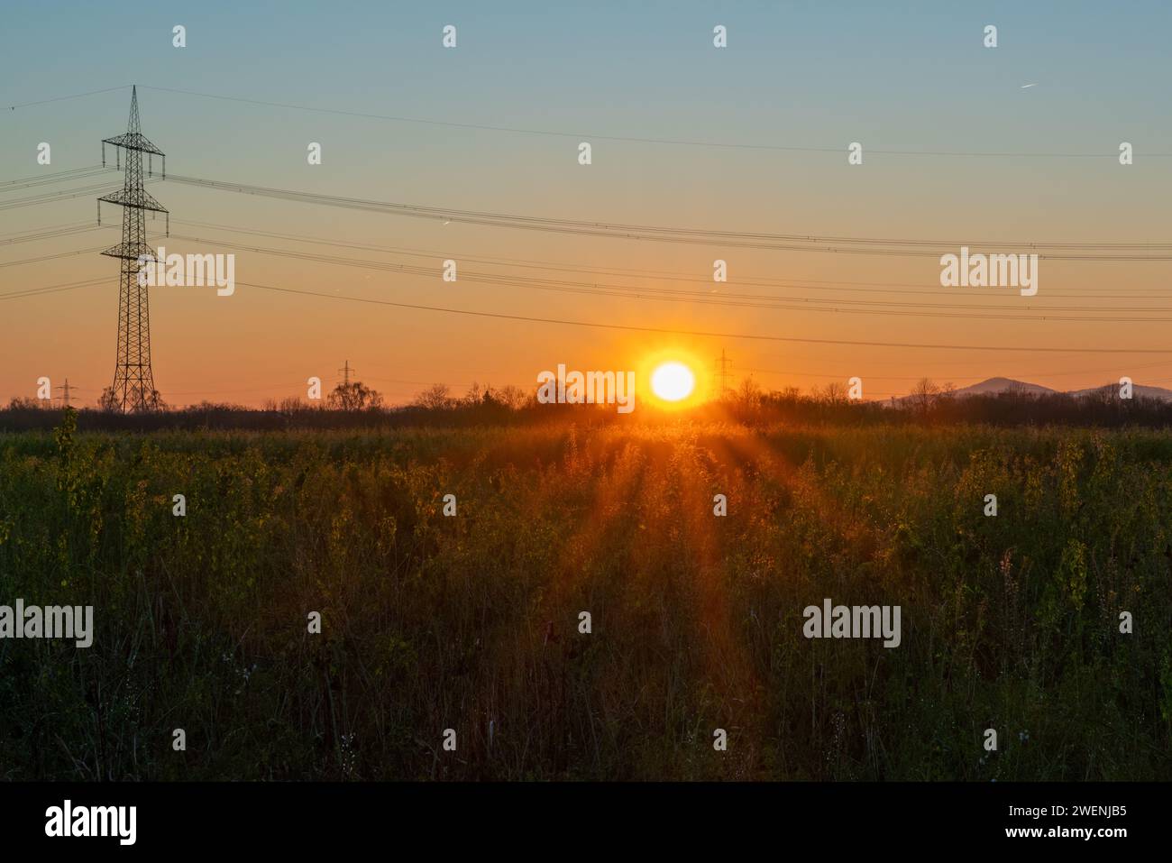 Sonnenaufgang über Feld mit Strommast Stock Photo