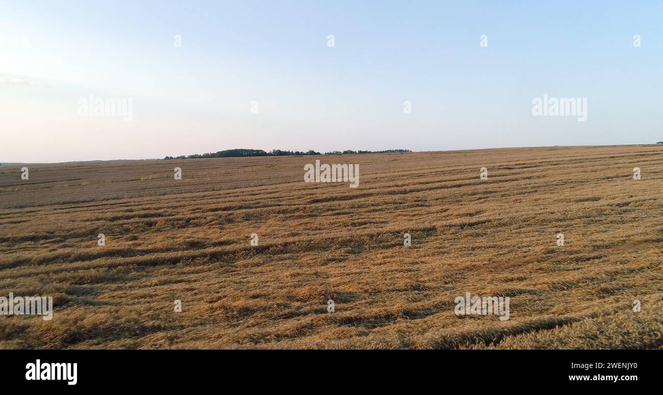 Flight over wheat field sunset hi-res stock photography and images - Alamy