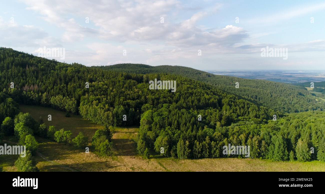 Travel car green forest 4k hi-res stock photography and images - Alamy