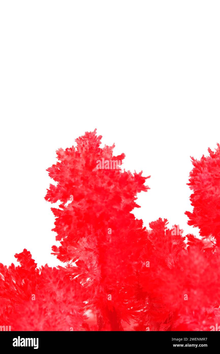 Macro image red salt crystal on white background Stock Photo