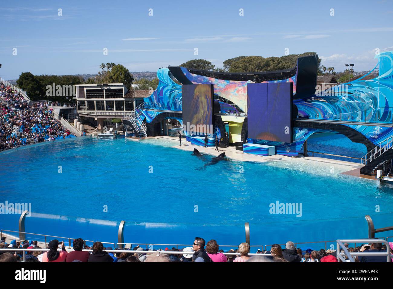 SeaWorld San Diego is a theme park located in Mission Bay, San Diego, California, USA. It operates multiple controversial daily whale shows. Stock Photo