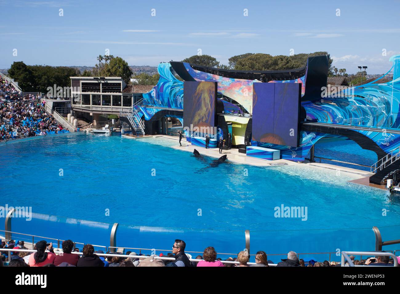 SeaWorld San Diego is a theme park located in Mission Bay, San Diego, California, USA. It operates multiple controversial daily whale shows. Stock Photo