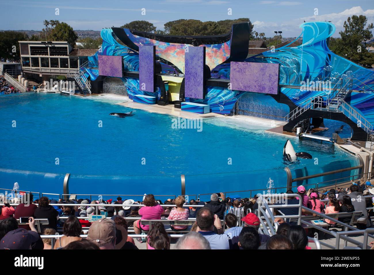 SeaWorld San Diego is a theme park located in Mission Bay, San Diego