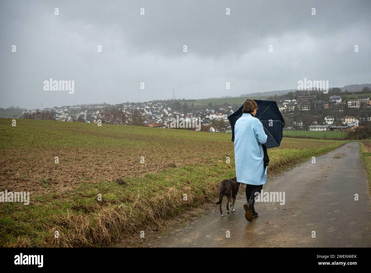 Spaziergang im Sturm: Frau und Hund trotzen Regen und Wind 26.01.2024, Selters: Symbolfoto, Illustrationsbild, Symbolbild, Illustrationsfoto Spaziergang im Sturm: Frau und Hund trotzen Regen und Wind Eine Frau kämpft mit ihrem Regenschirm, während sie gemeinsam mit ihrem treuen Hund auf einem Feldweg spaziert. Trotz des stürmischen Wetters, mit starkem Regen und Wind, bleibt das Duo unerschütterlich auf ihrem Weg durch die Natur Selters Hessen Germany *** Walking in a storm Woman and dog defy rain and wind 26 01 2024, Selters Symbol photo, Illustration image, Symbolbild, Illustration photo Wal Stock Photo