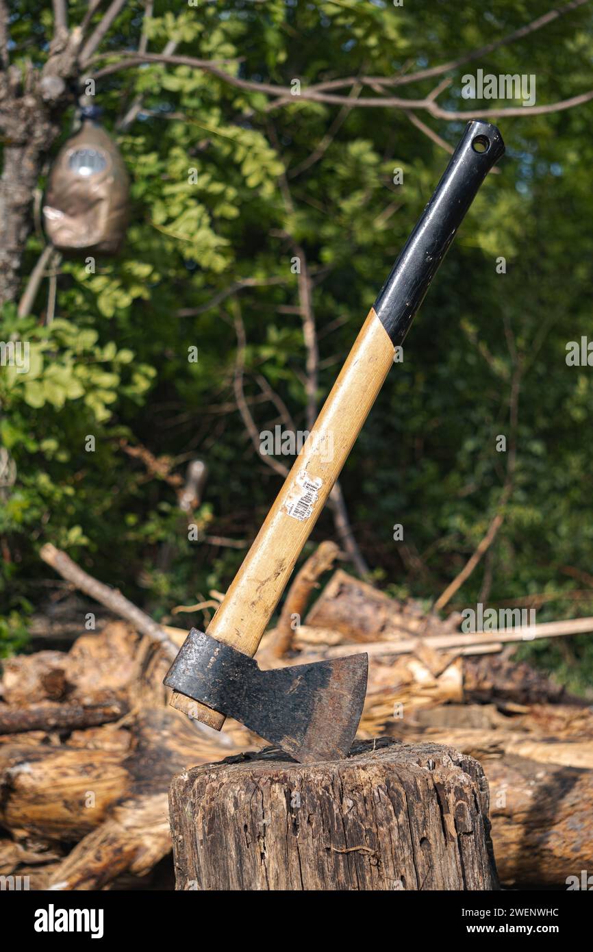 Close-up of an ax stuck in a wooden log in the forest with a pile of logs in the background Stock Photo