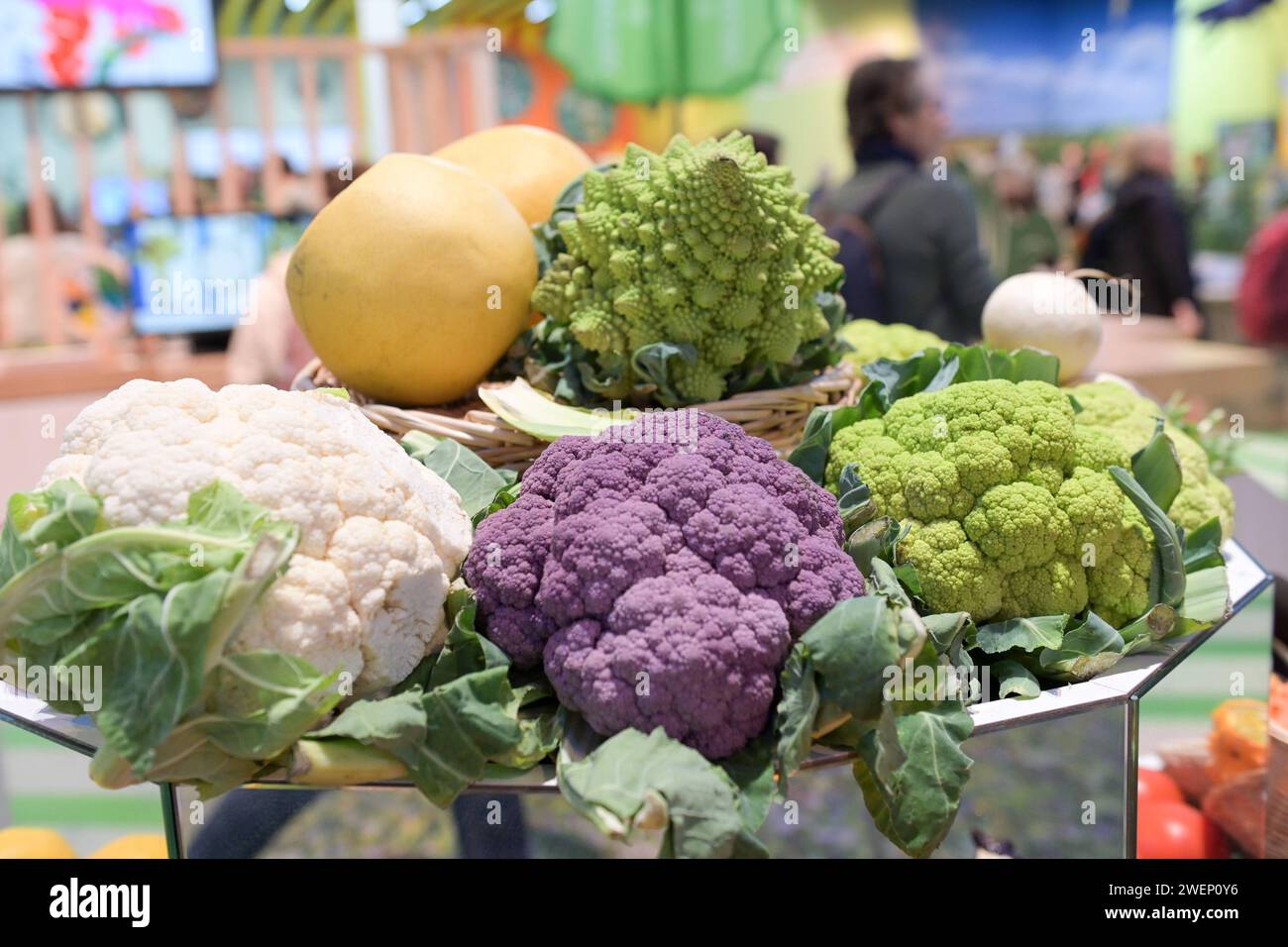 Lila blumenkohl hi-res stock photography and images - Alamy