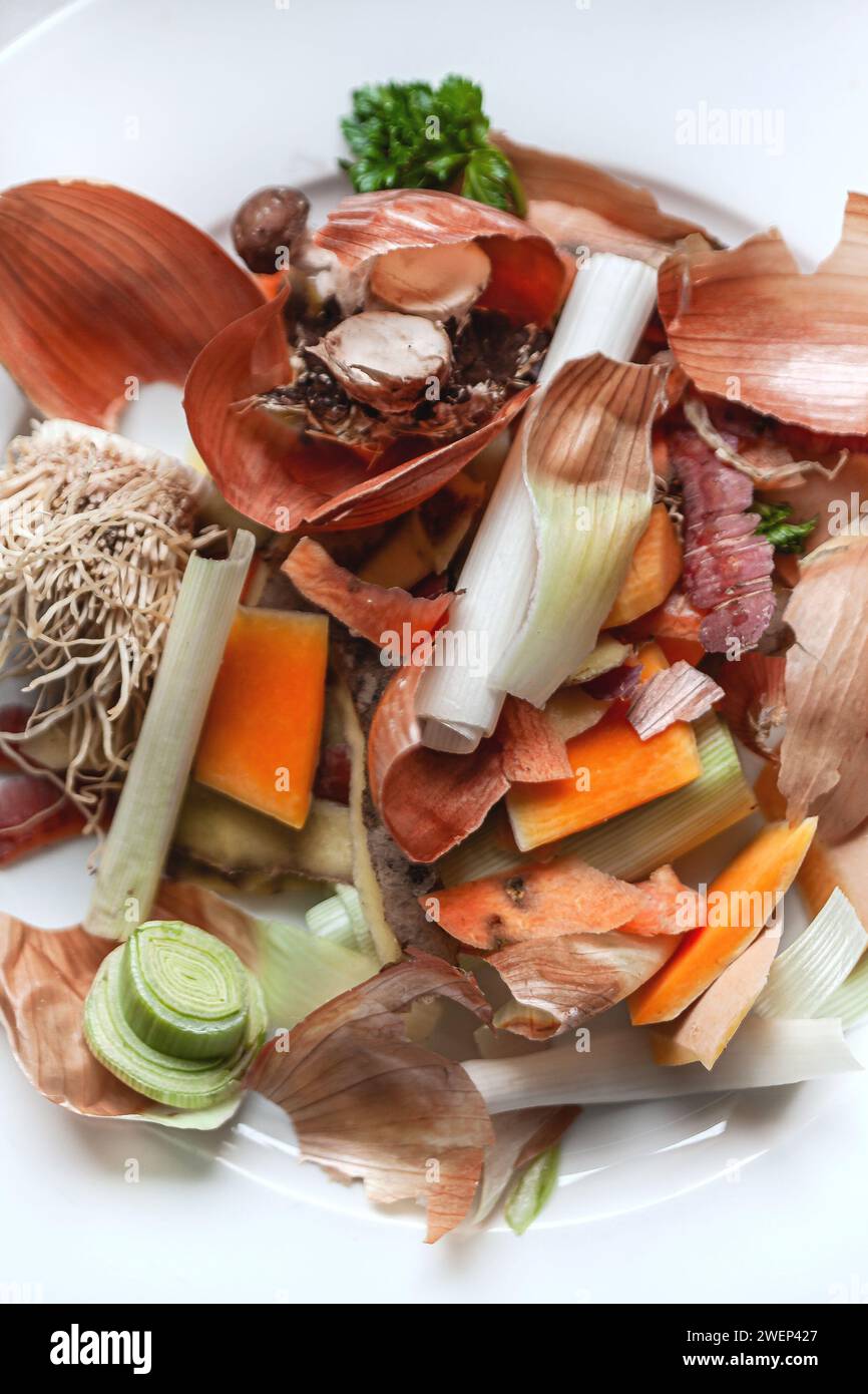 Vegetable peelings for garden compost Stock Photo Alamy