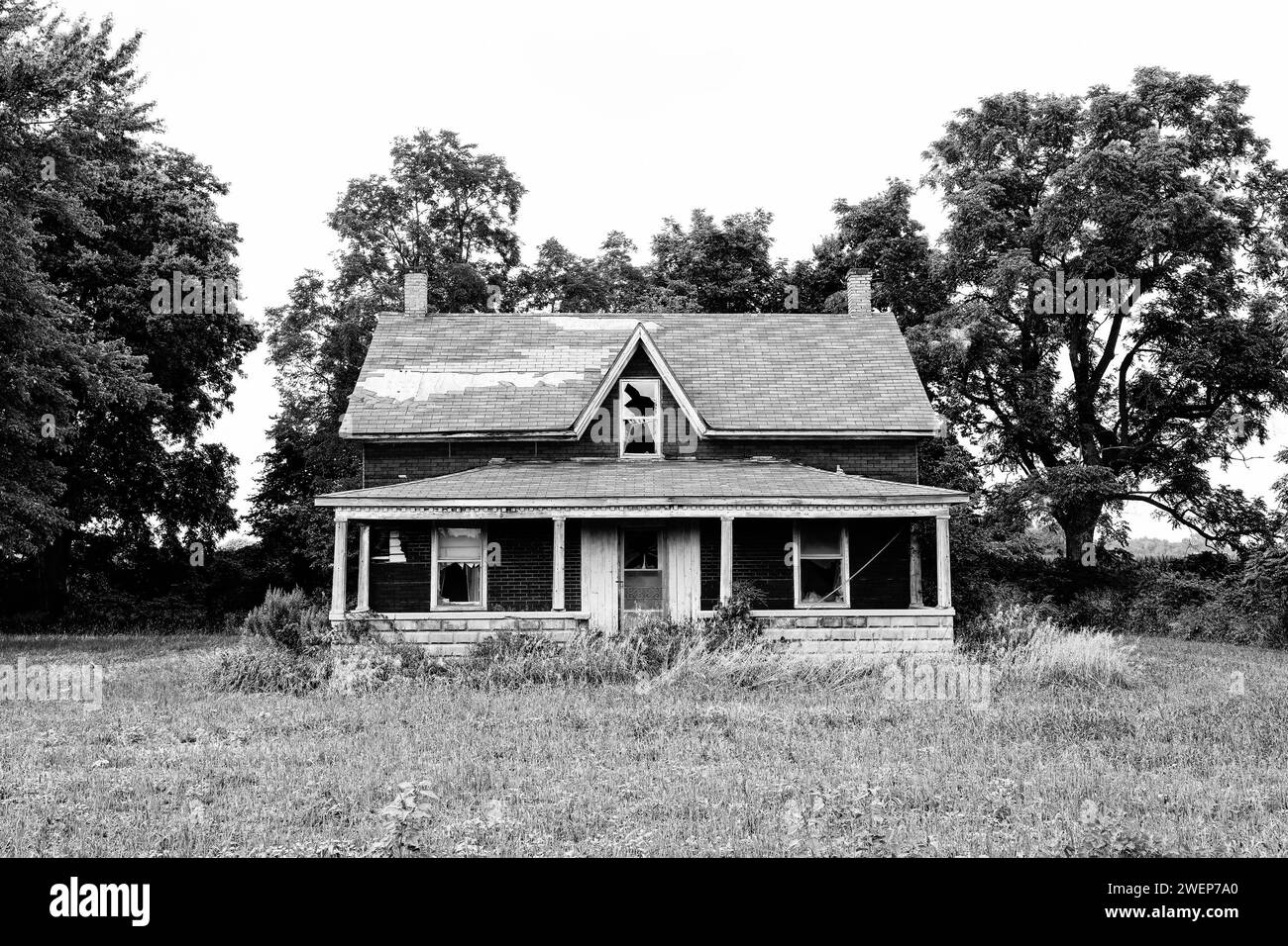 Abandoned house in monochrome landscape Stock Photo