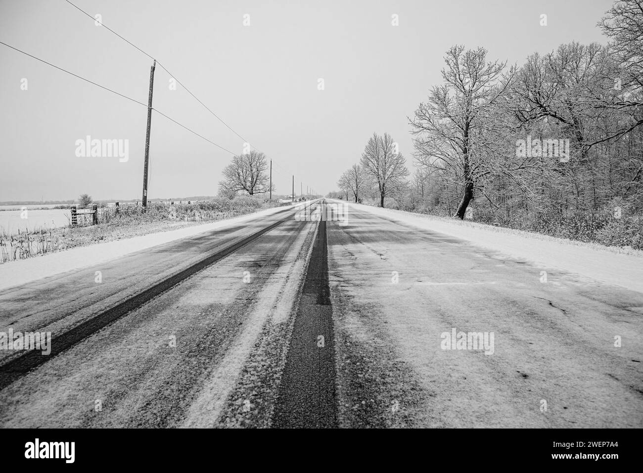 Country road covered with trees hi-res stock photography and images - Alamy