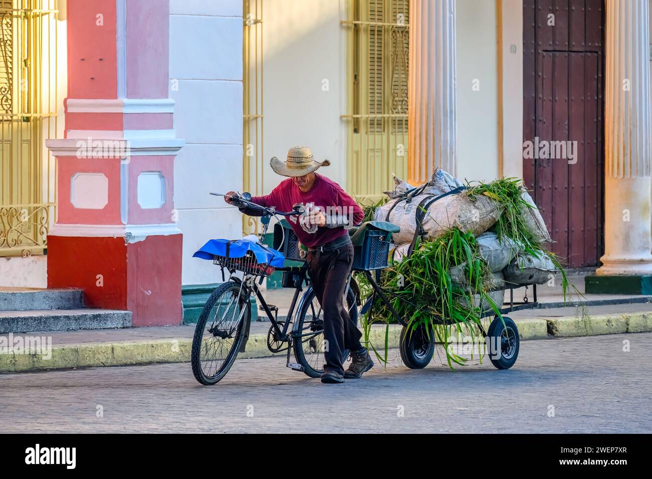 senior man pushing bicycle with grass sacks, santa clara city, cuba, 2024 Stock Photo