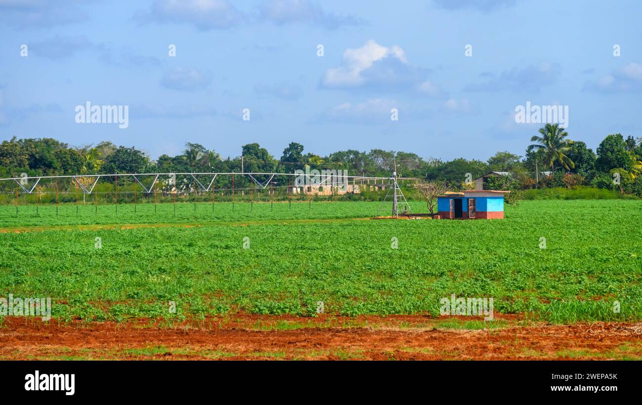 Agriculture farm irrigation system, cuba Stock Photo
