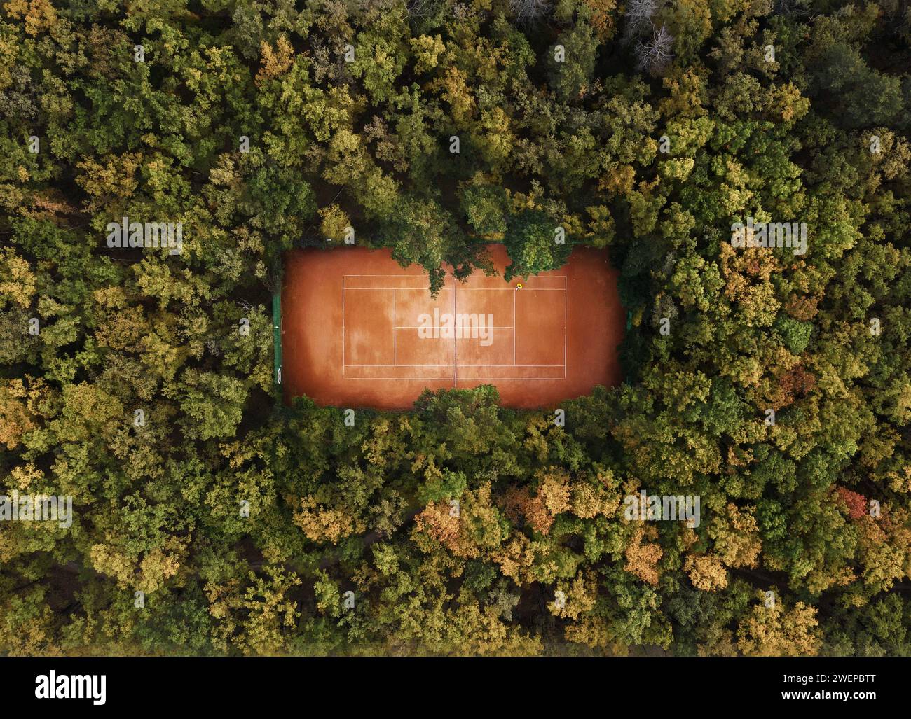 Tennis court in the forest from aerial top view. Stock Photo