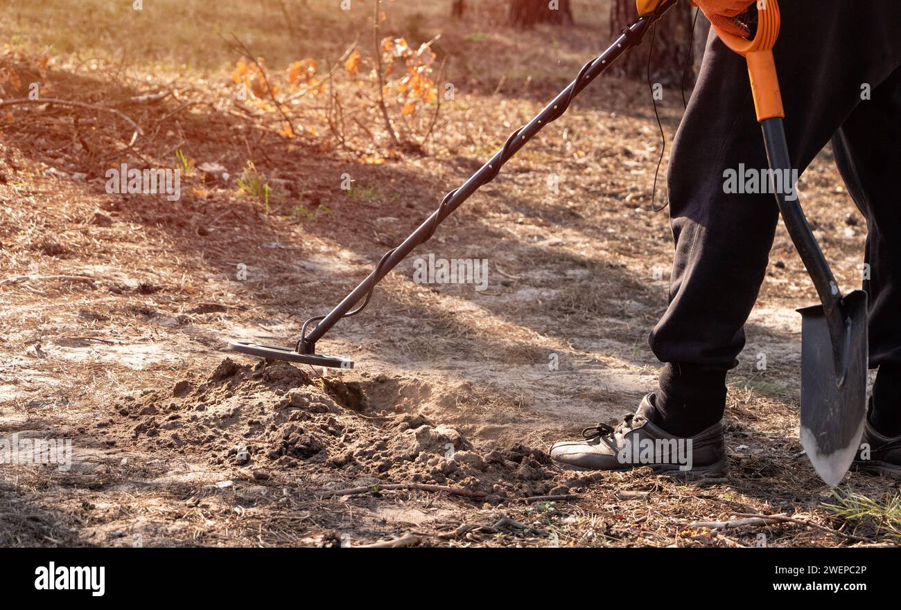 A man scans a dug hole in the forest with a metal detector and a shovel in his hands Stock Photo