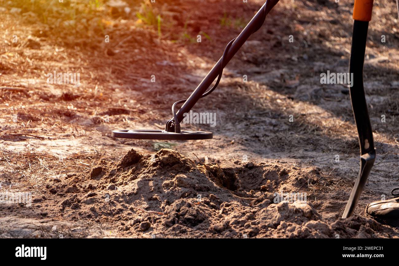A man scans a dug hole in the forest with a metal detector and a shovel in his hands Stock Photo