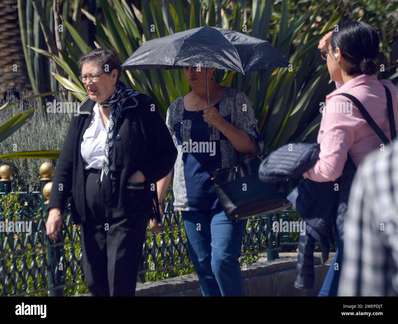 CUENCA-OLA DE CALOR Cuenca,Ecuador 26 de enero de 2024 El Instituto Nacional de Meteorologia e Hidrologia Inamhi prevÃ que hasta finales de enero de 2024 en Cuenca, lla temperatura supere los 25 grados Celsius ÂC,Los niveles de radiacion ultravioleta muy altos y extremadamente altos se registran entre las 10:00 y 15:00. foto Boris Romoleroux/API. WEA-CUENCA-OLADECALOR-b8245f5ea09021e8363622ab0c228e45 *** CUENCA HEAT WAVE Cuenca,Ecuador January 26, 2024 The National Institute of Meteorology and Hydrology Inamhi predicts that until the end of January 2024 in Cuenca, the temperature will exceed 2 Stock Photo