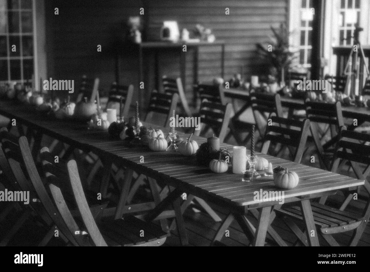 A harvest dinner setup adorned with wooden chairs Stock Photo