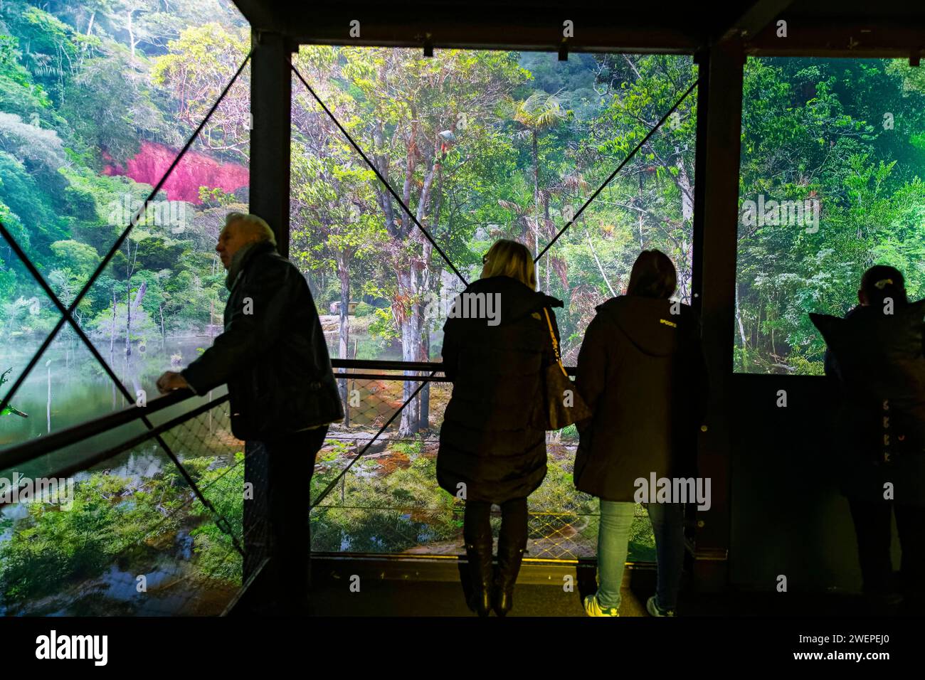 Panometer Dresden AMAZONIEN Faszination tropischer Regenwald ist ein monumentales Werk von Yadegar Asisi zum brasilianischen Regenwald. Erstmals kommt ab 27. Januar 2024 ein Naturpanorama nach Dresden. Man taucht ein in die exotische Welt am Amazonas und entdeckt eine Natur, die betörender nicht sein könnte und doch vielfach unbekannt ist. Dresden Sachsen Deutschland *** Panometer Dresden AMAZONIA Fascination tropical rainforest is a monumental work by Yadegar Asisi on the Brazilian rainforest For the first time, a nature panorama will come to Dresden from January 27, 2024 Immerse yourself in Stock Photo