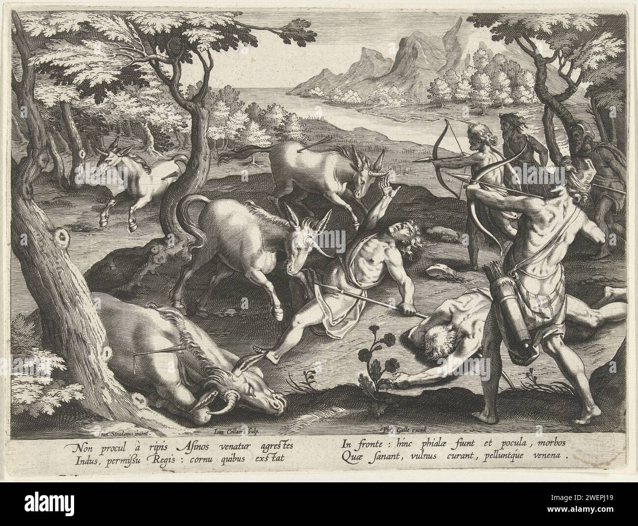 Unicorns hunt hi-res stock photography and images - Alamy