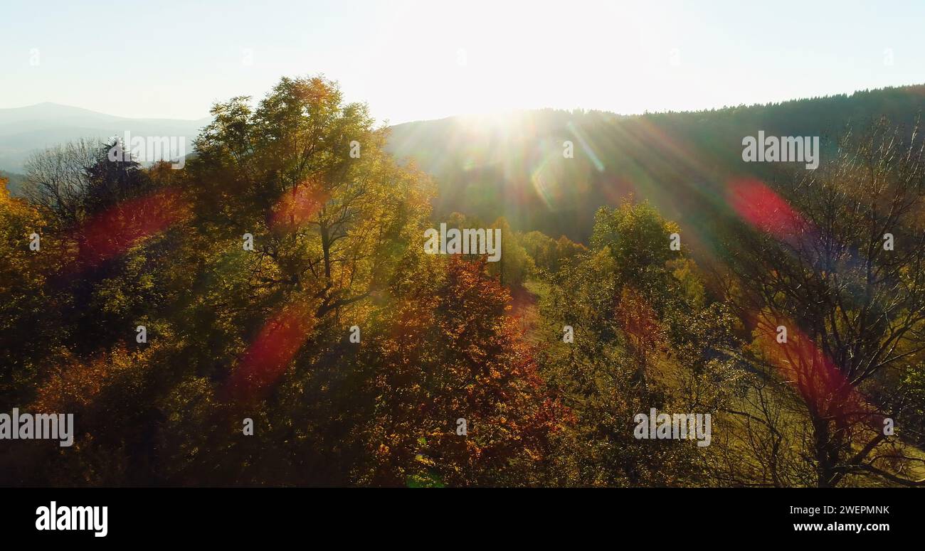 Flying over misty pine forest hi-res stock photography and images - Alamy