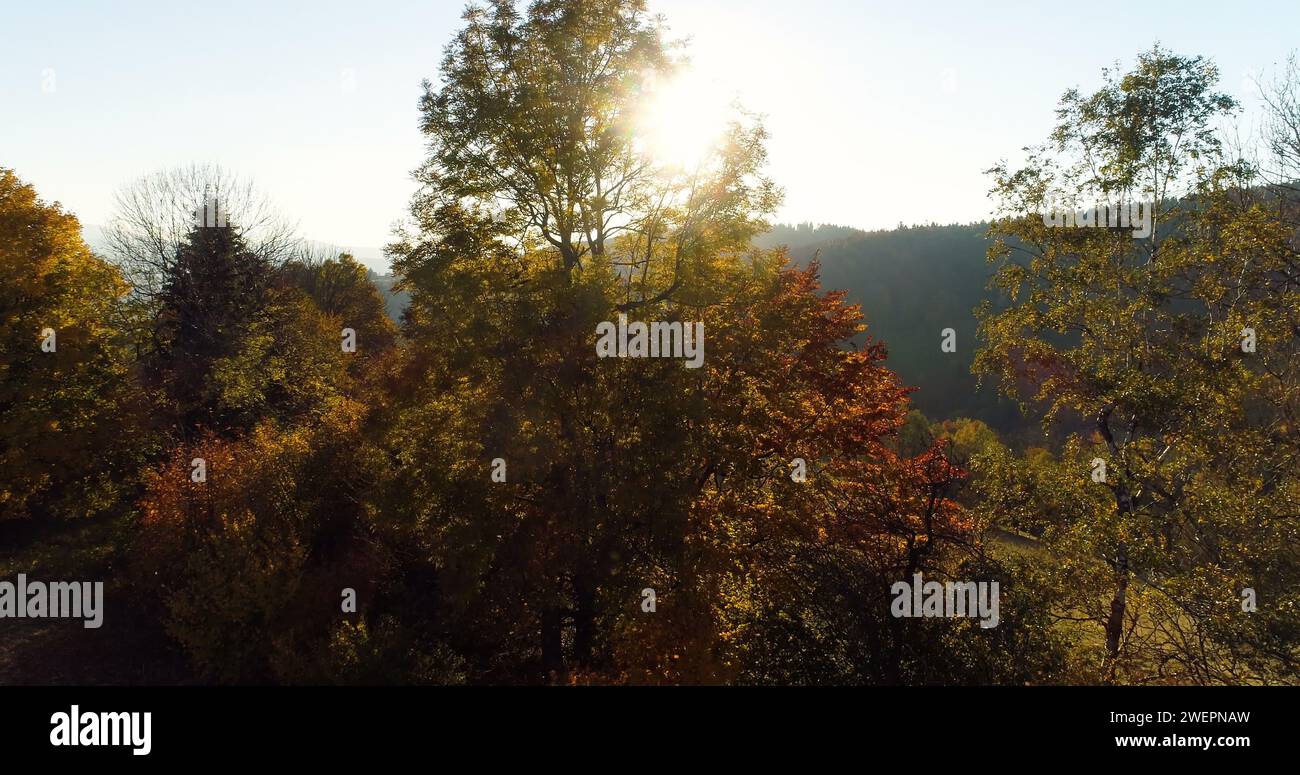 Aerial flying over misty pine hi-res stock photography and images - Alamy