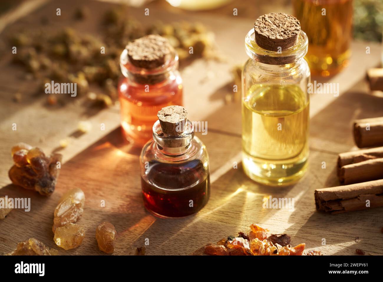 Bottles of aromatherapy essential oils with frankincense and myrrh resin, cinnamon and herbs Stock Photo