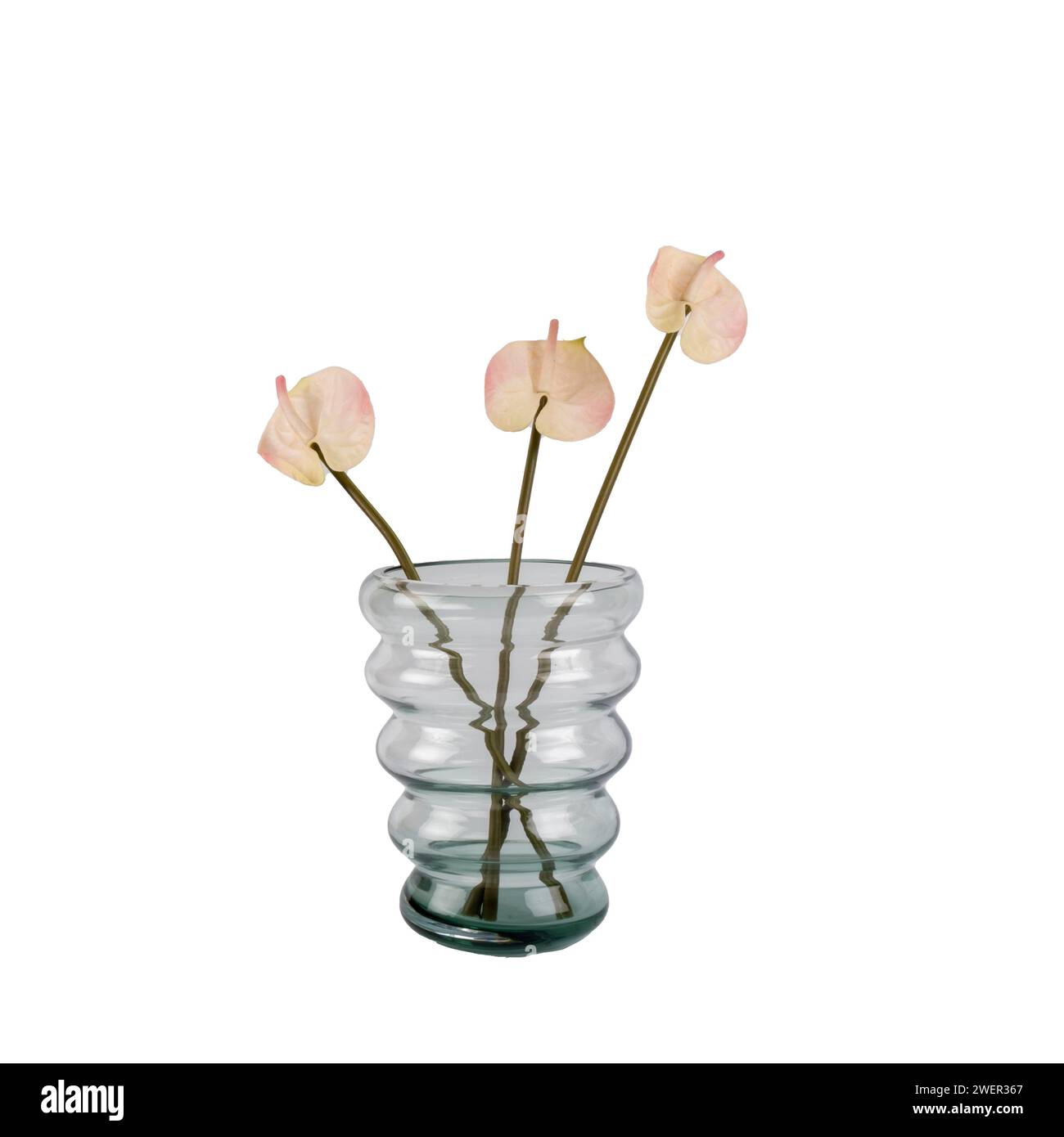luxury decorative glass vase with flowers isolated on white background ...