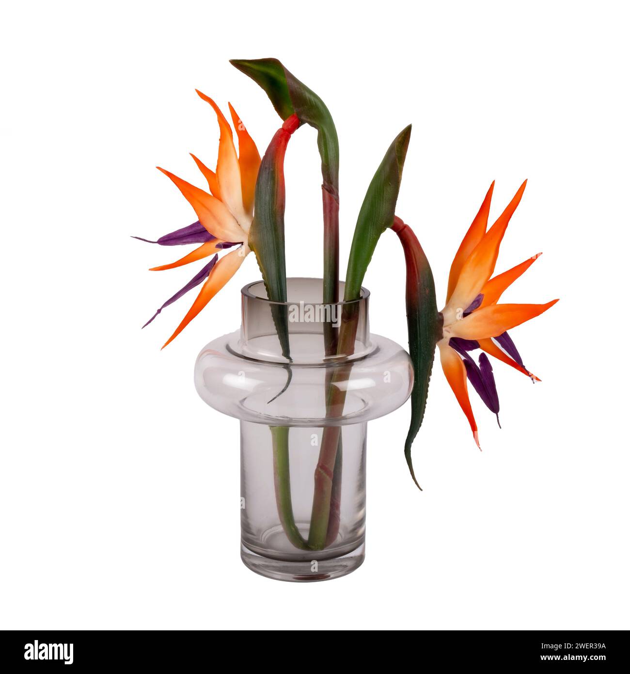 luxury decorative glass vase with flowers isolated on white background ...