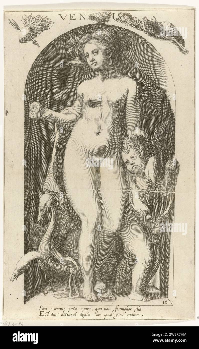 Venus, Nicolaas Braeu, after Karel van Mander (I), 1598 print An image of the goddess of love Venus, with her companion Amor placed in a niche. Next to them two swans who usually pull the cart of Venus. On the wall turtling and a burning hair as symbols for love and a shell that reminds us of Venus birth from the sea. A Latin caption under the performance.  paper engraving (story of) Venus (Aphrodite) Stock Photo
