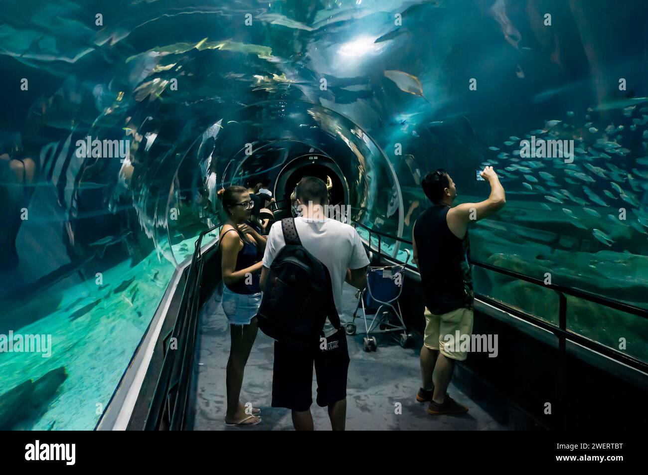 Visitors inside the underwater glass tunnel that runs in the middle of the main big marine aquarium tank of AquaRio public aquarium at Gamboa district. Stock Photo