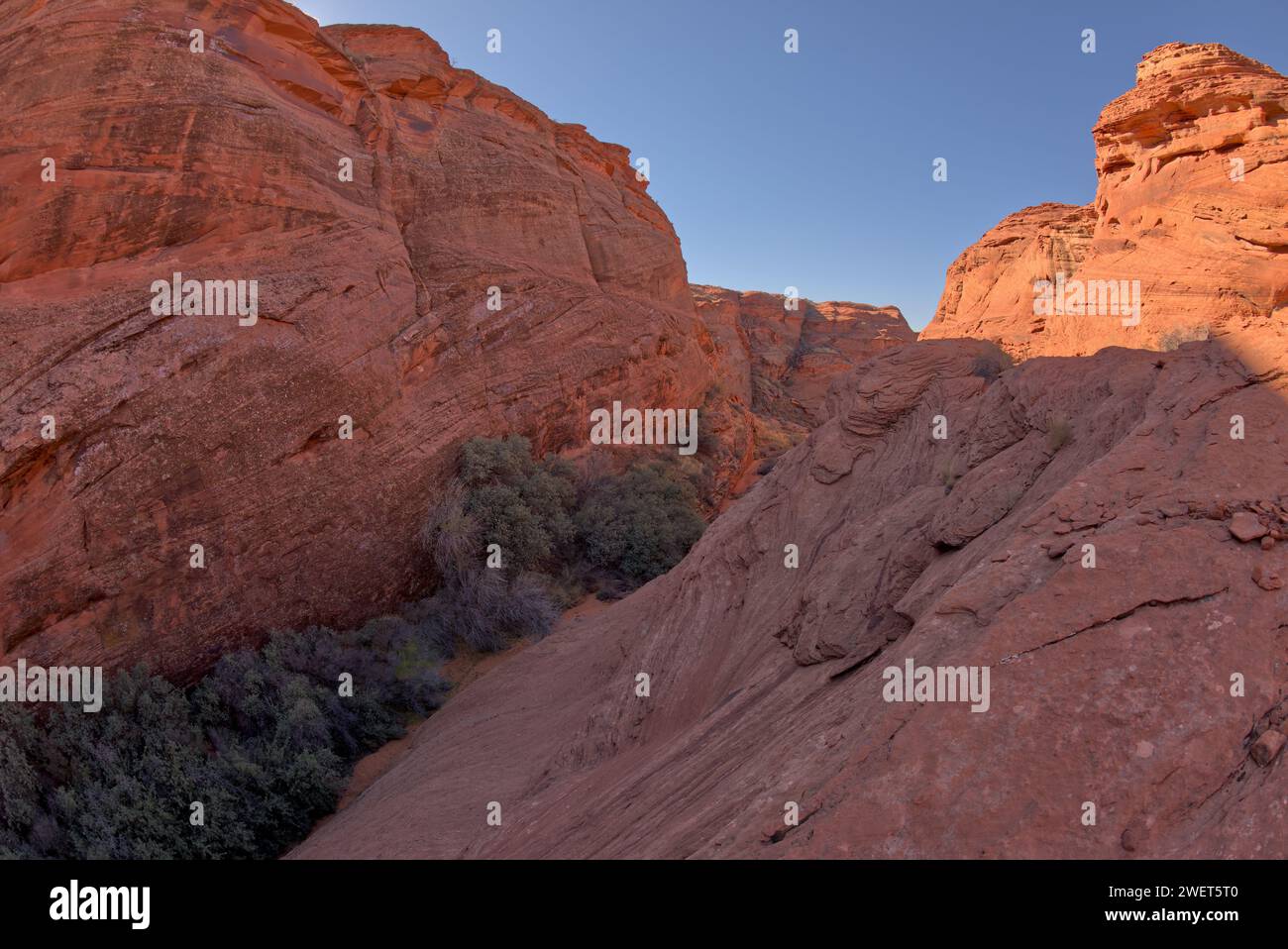 A narrowing of the spur canyon just north of the main overlook of Horseshoe Bend Arizona. Stock Photo