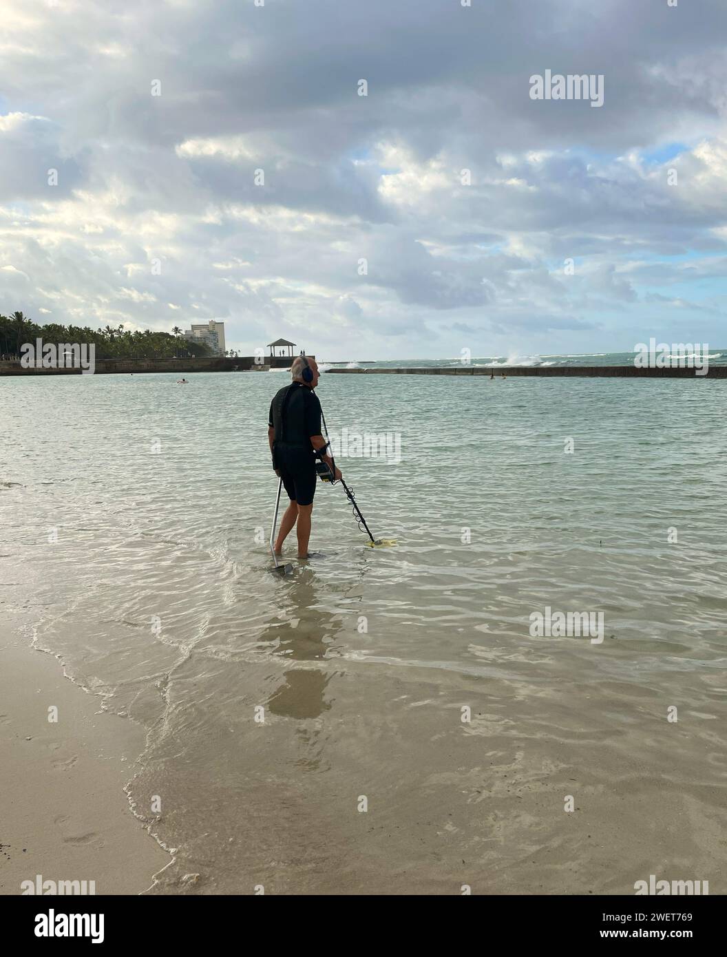 A  man out early in the morning searching for treasure with a metal detector in the water on Waikiki beach. Stock Photo