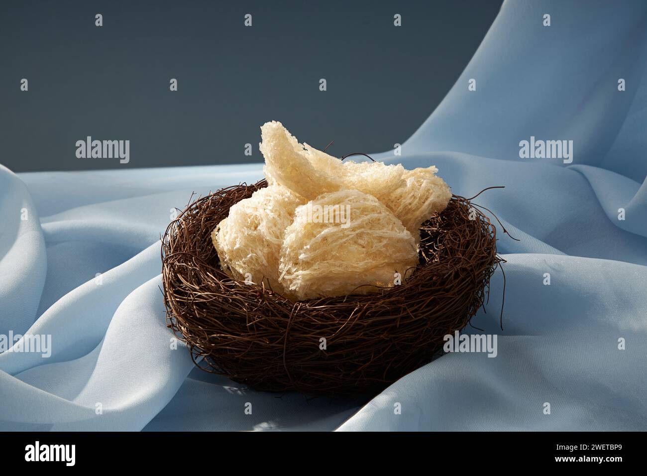 Front view of some edible bird nests on black nest, on pastel blue soft