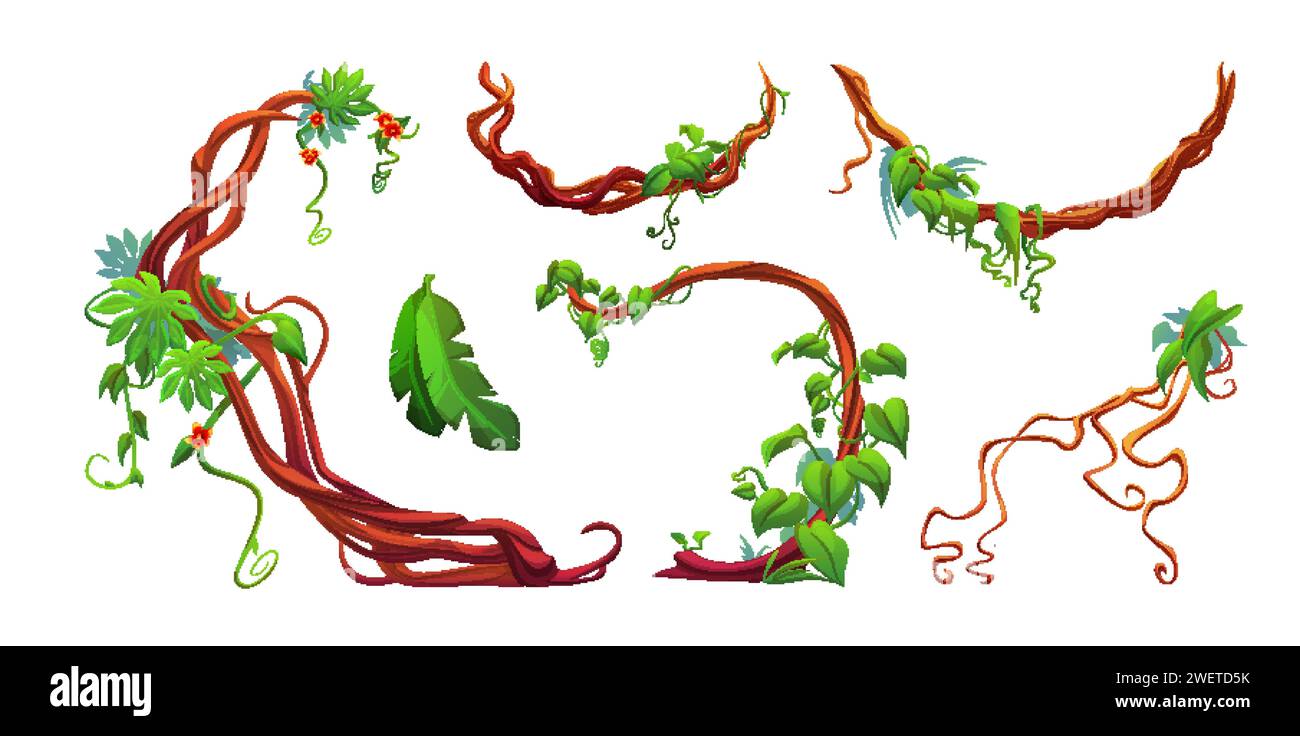 Twisted liana branch with green leaves and flowers. Cartoon vector