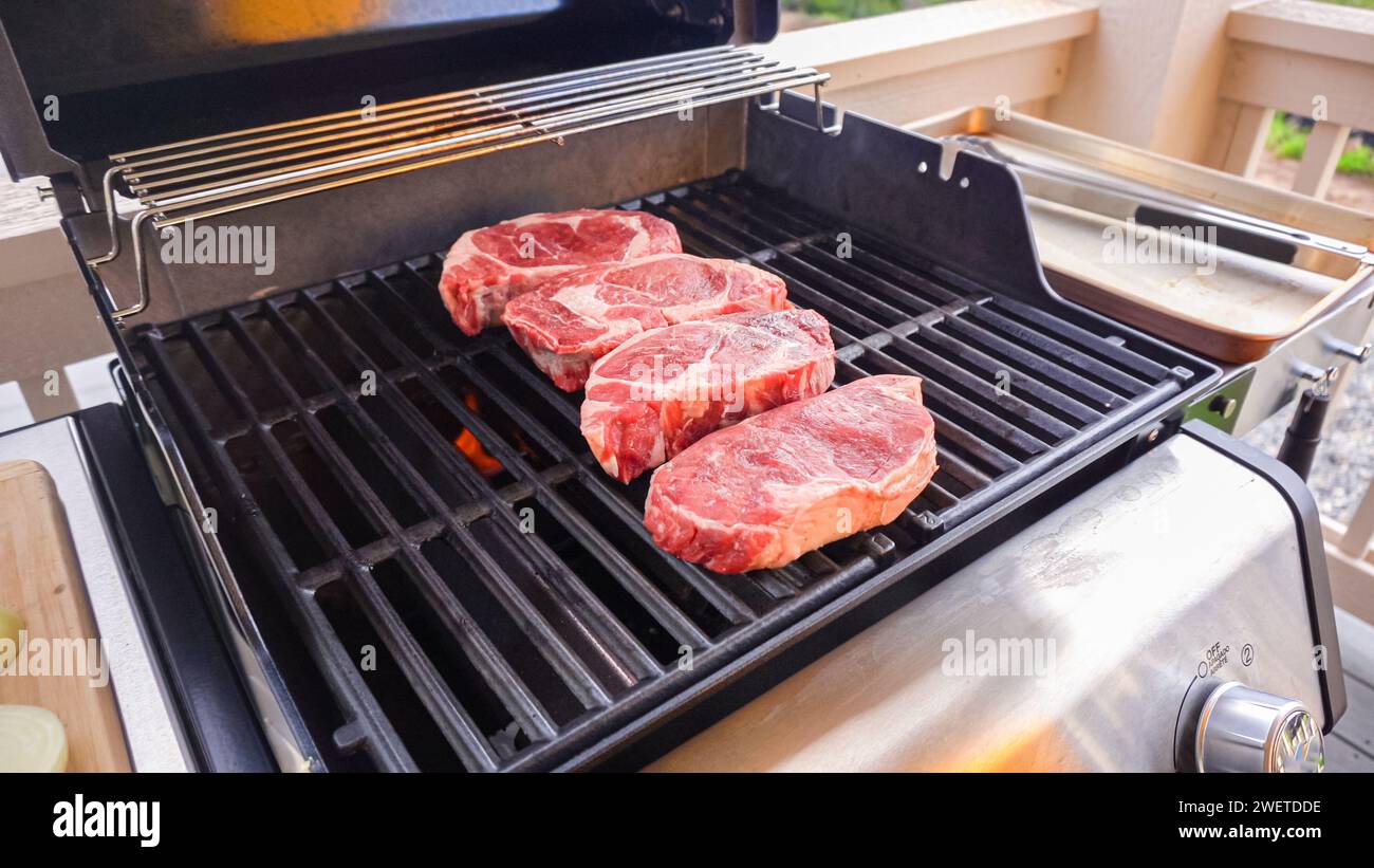 Two burner gas grill hi-res stock photography and images - Alamy