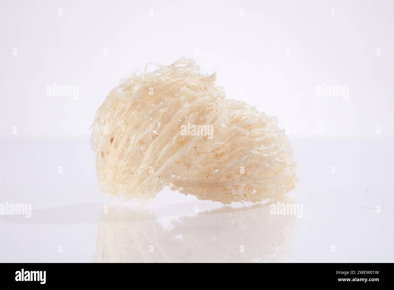 Front view of two raw edible bird’s nest and shadows on white
