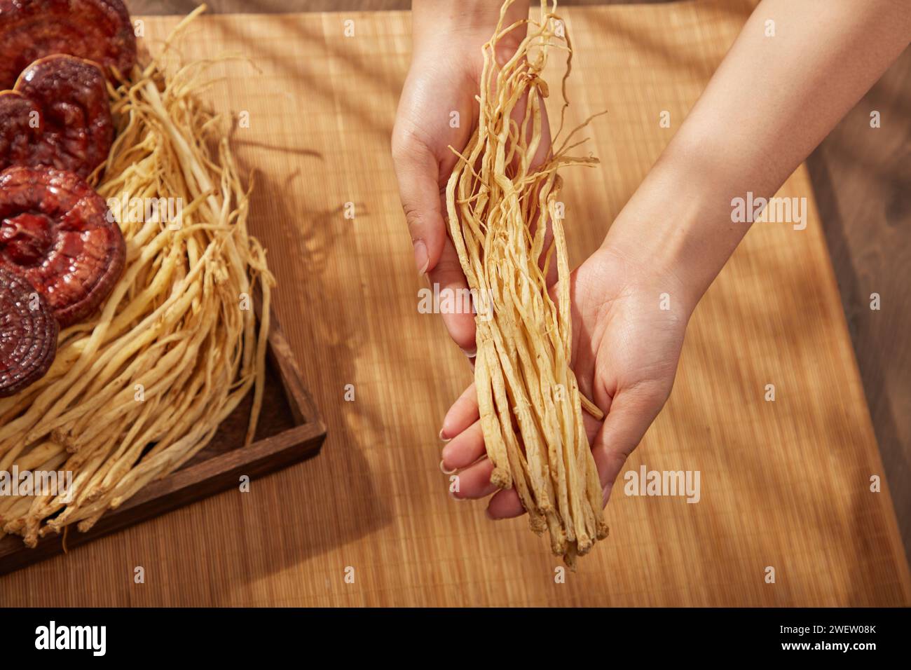Top view of two female hands are holding root of pilose asiabell on brown background. Codonopsis pilosula and lingzhi mushroom on wooden tray. Traditi Stock Photo