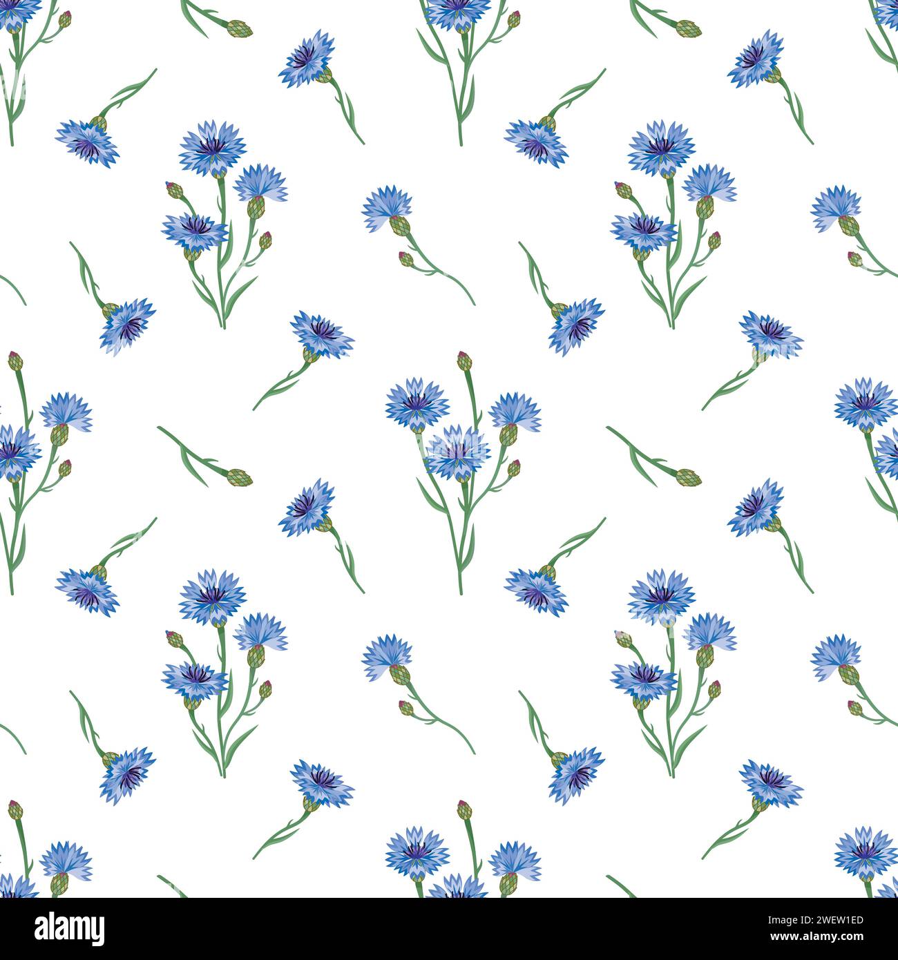 Seamless floral pattern with cornflowers isolated on a white background. Stock Vector