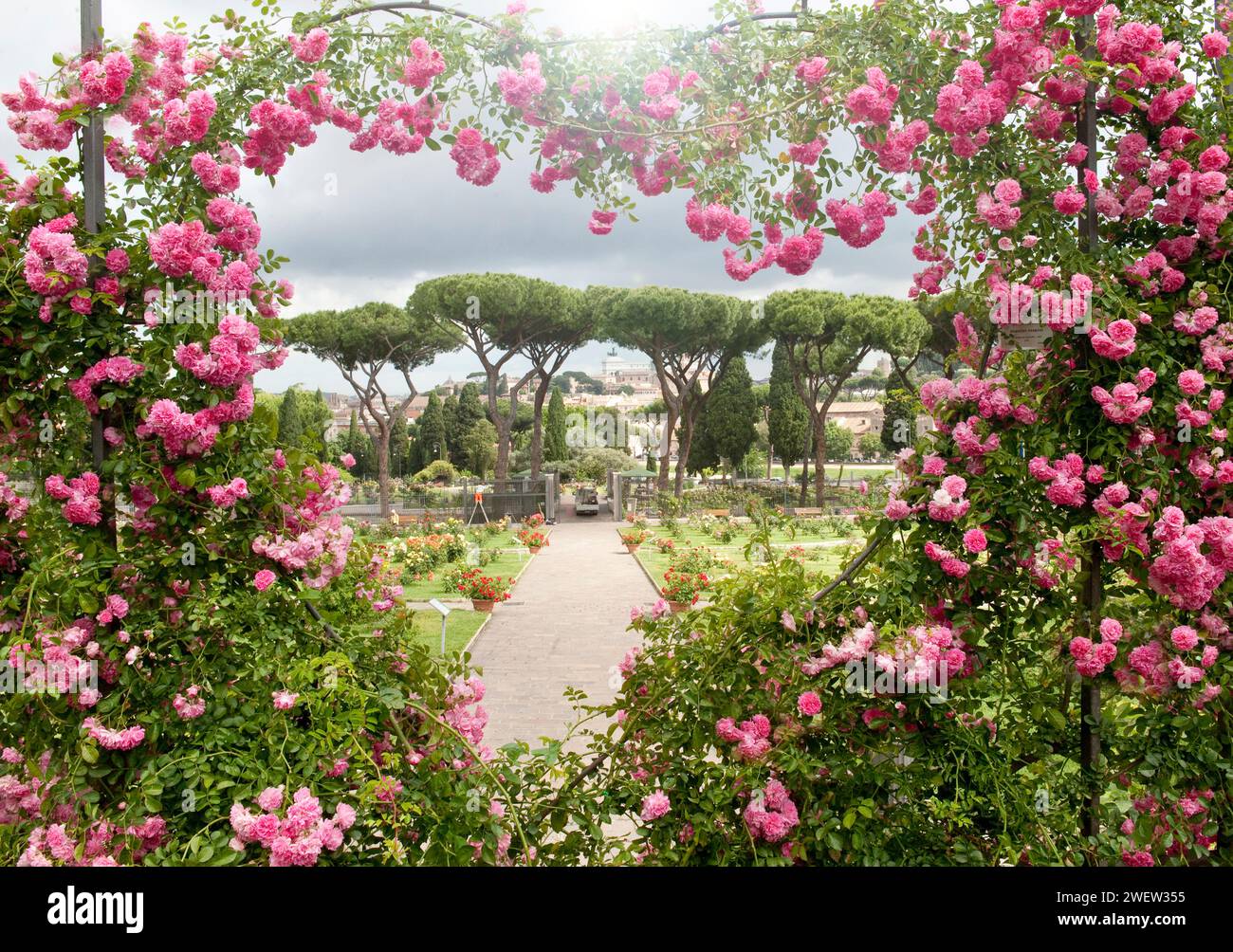 A heart of roses in the Roseto Comunale, Municipal Rose Garden, Aventino, Rome, Italy Stock Photo